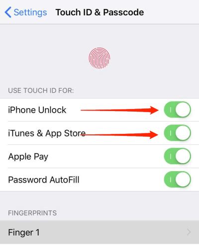 How To Fix Touch Id Not Activating On Iphone Safapedia