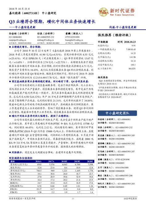 Q3业绩符合预期，磺化中间体业务快速增长