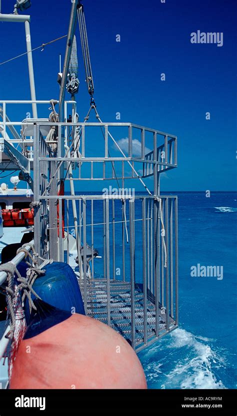 Shark cage Bahamas Atlantic Ocean Stock Photo - Alamy