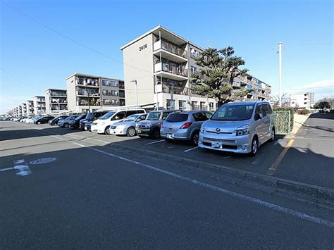 【ホームズ】相武台団地2606号棟相模原市南区の賃貸・中古情報