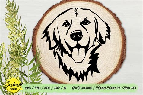 Golden Retriever Svg File Dog Svg Graphic By Sashanikart · Creative