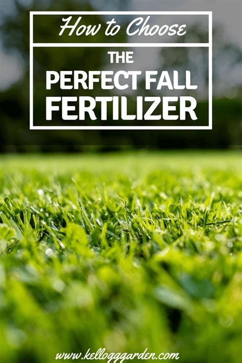 6 Steps To Fertilizing Your Fall Lawn