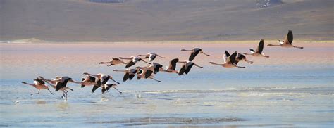 5 Useful Tips To Visit The Salar De Uyuni