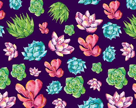 Colorful Succulents Wallpaper