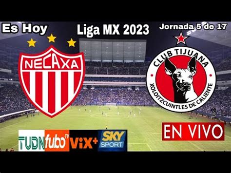 Necaxa Vs Tijuana En Vivo Donde Ver A Que Hora Juega Necaxa Vs