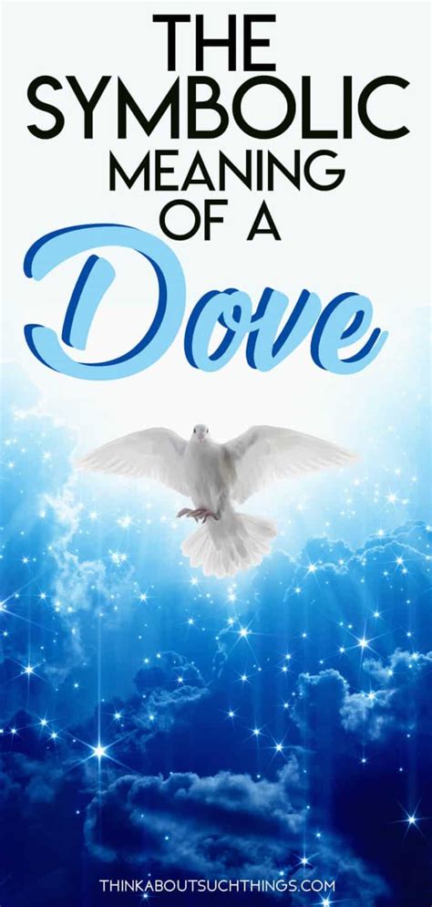 What Does A Dove Symbolism? 9 Meanings We See In The Bible | Think ...