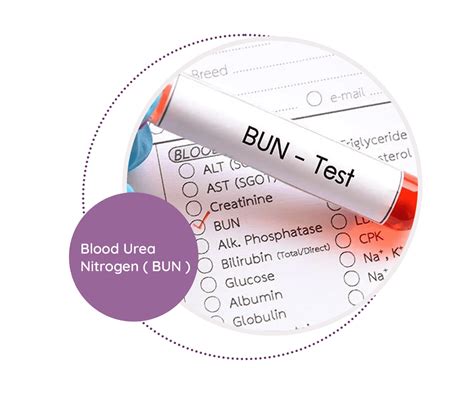 Blood Urea Nitrogen Bun Mediscan Lab