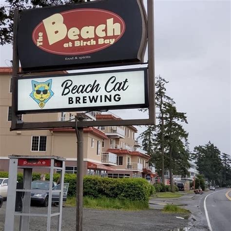 Beach Cat Brewing coming to Birch Bay | Visit Birch Bay