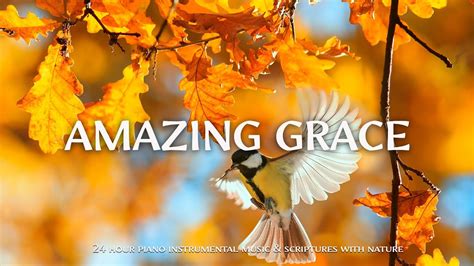 Amazing Grace Worship And Instrumental Music With Scriptures And Birds 🦜 Christian Instrumental