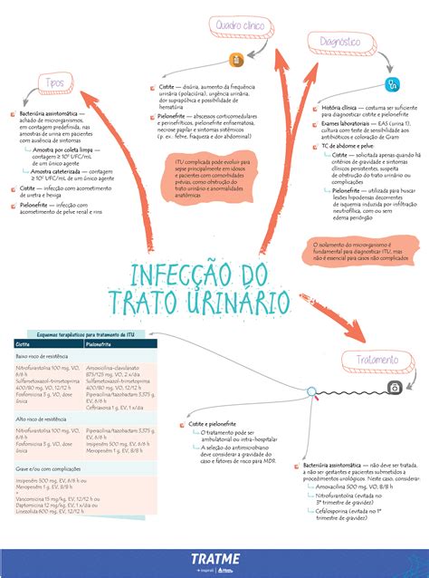 Mapa mental Infecção do trato urinário INFECÇÃO DO TRATO URINÁRIO