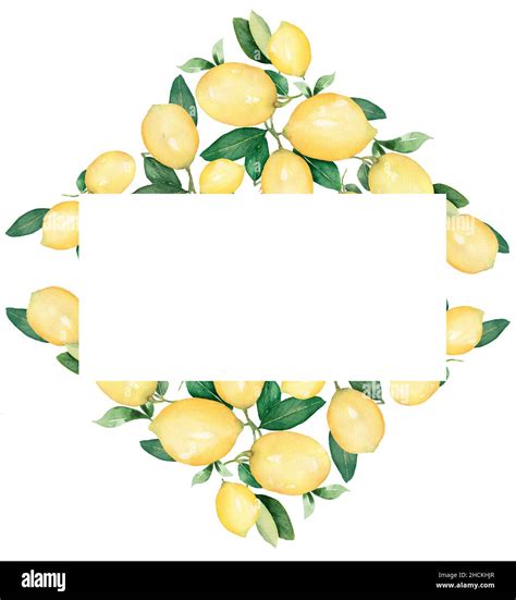 Lemon Fruits Wreath Clipart Watercolor Eco Healthy Food Illustration