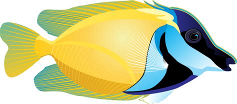 Clipart fish realistic pictures on Cliparts Pub 2020! 🔝