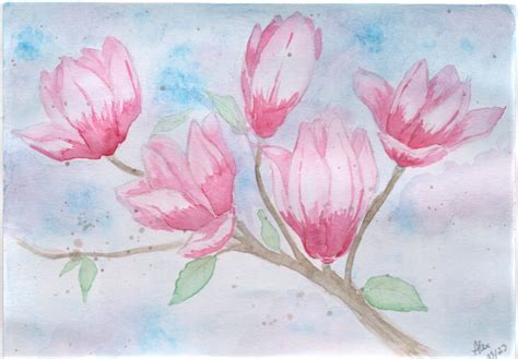 Magnolias By Thirstyforcolours On Deviantart