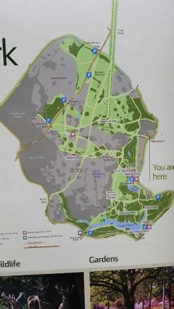 Savill Gardens Windsor Map | Fasci Garden