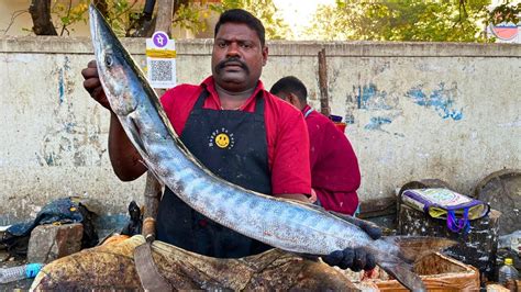 Kasimedu Speed Selvam Big Size Barracuda Fish Cutting Video In