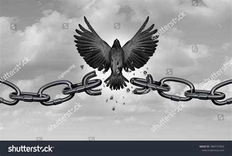 Freedom Metaphor Symbol Liberty Concept Chains Stock Illustration