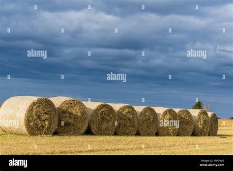 Bales Goal Hi Res Stock Photography And Images Alamy