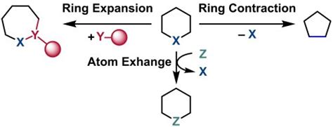 Development Of Ring Expanding Skeleton Editing Technology For