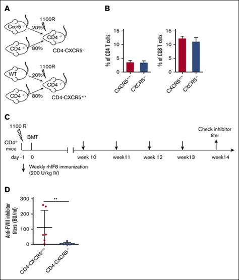 Induction Of Activated T Follicular Helper Cells Is Critical For Anti