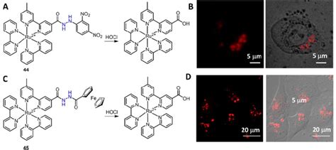 Molecular Structure Of Ru II Complexes 44 A And 45 C And