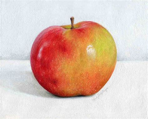 Realistic Apple Drawing at GetDrawings | Free download