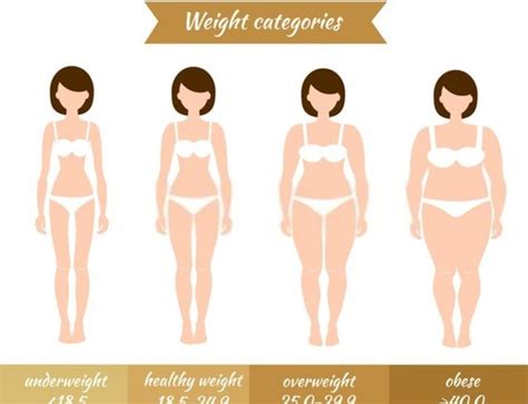 What Is Ideal Weight For 5 4 Female | Blog Dandk