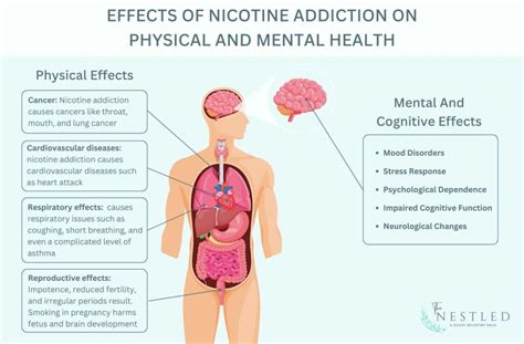 Nicotine Addiction Signs Causes Treatment Options And Prevention