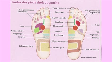 Les Zones Réflexes En Réflexologie Plantaire Youtube