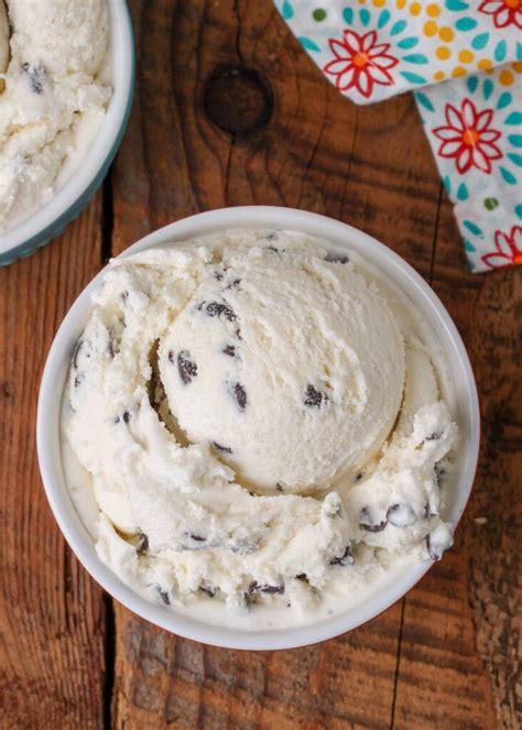 Chocolate Chip Ice Cream - Barefeet in the Kitchen