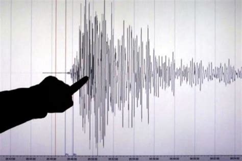 Sismo De Magnitud Remeci Islas Del Sur De Jap N Se Activ Alerta