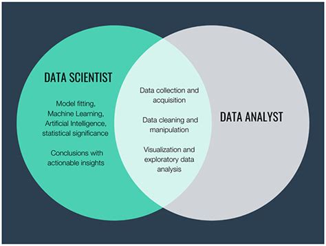 Data Analyst Vs Data Scientist Setting Up A Foundation For Further