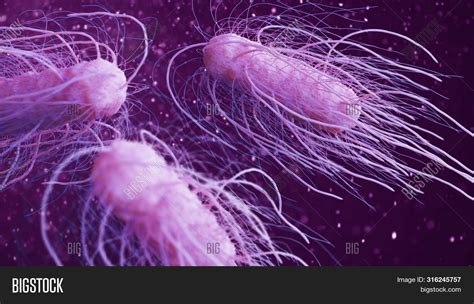 Salmonella Bacteria 3d Image & Photo (Free Trial) | Bigstock