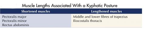 Kyphotic Posture | Therapy, Exercise, Physiotherapy, Correction.