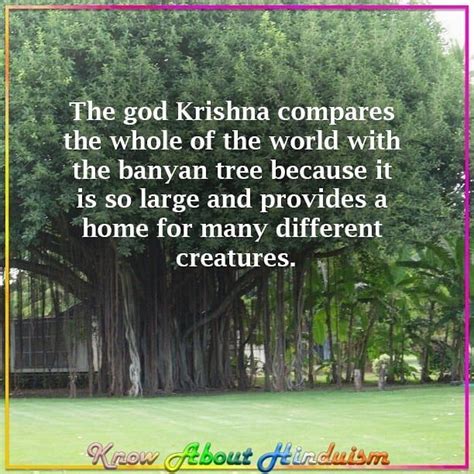 The Symbolism of the Banyan Tree in Hinduism