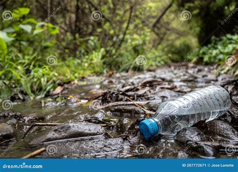 Plastic Bottle In Nature Stock Image Image Of Bottle 207772671