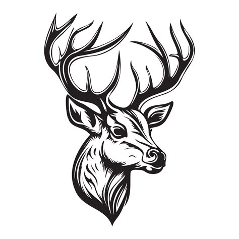 Deer Face, Silhouettes Deer Face SVG, black and white Deer vector ...