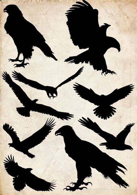 Eagle Silhouette, Silhouette Clip Art, Silhouette Stencil, Animal ...