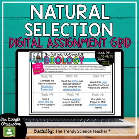 Scientific Method Lab Activity [5 Minute Set Up] ⋆ The Trendy Science Teacher