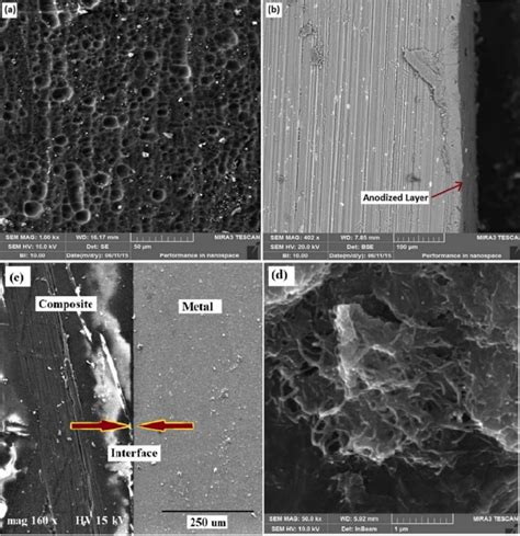 Fe Sem Image Of Anodized Aluminum Alloy Sheet Showing A Surface