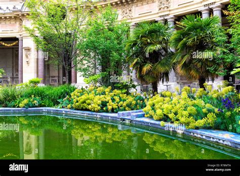 Petit Palais, garden, Paris, France Stock Photo - Alamy