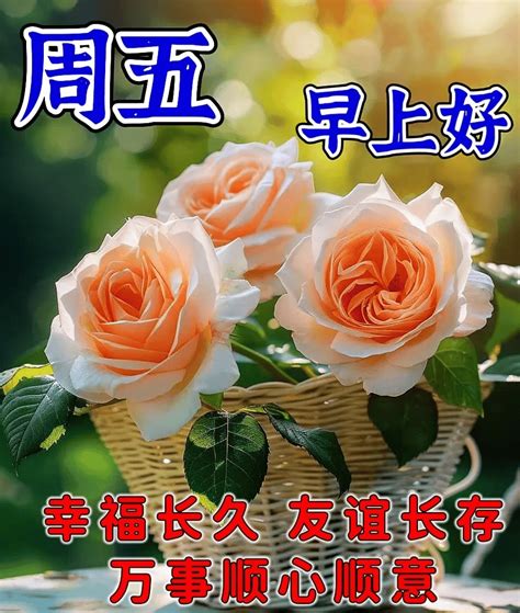 2024年6月14日最新早上好祝福语图片大全 精选早安问候祝福图片带字生活人生心房