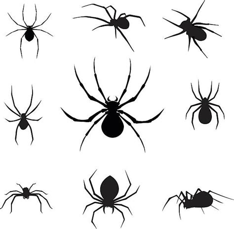 Spider Silhouette Clip Art