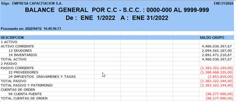 Balance General Por Centro De Costos Portal De Clientes Siigo