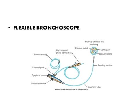 Fibre optic bronchoscopy