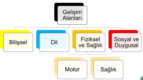 2024 Programı Analizi 8 Gelişim Alanları ve Yaş Grubuna Göre