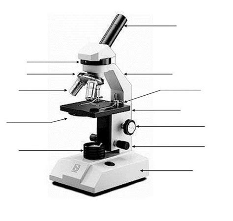 Diagrams Of Microscope 101 Diagrams