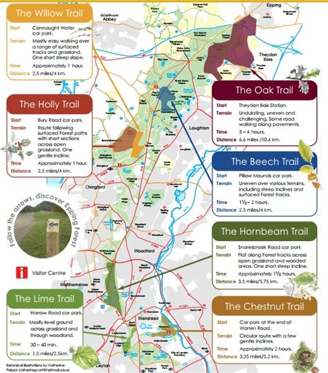 Walks And Walking Way Marked Trails In Epping Forest Walks And