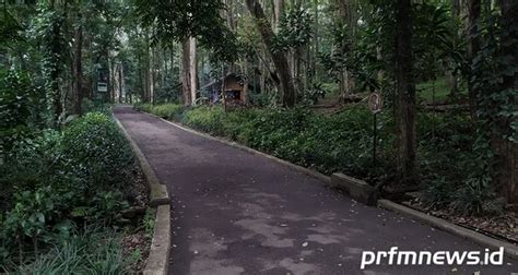 kebun binatang tutup pemkot bandung ajak masyarakat liburan lebaran