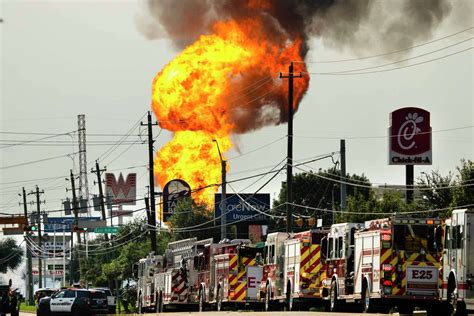 Environment | HoustonChronicle.com