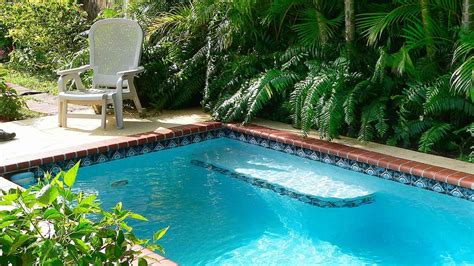 DIY Plunge Pools Ideas and Planning Tips